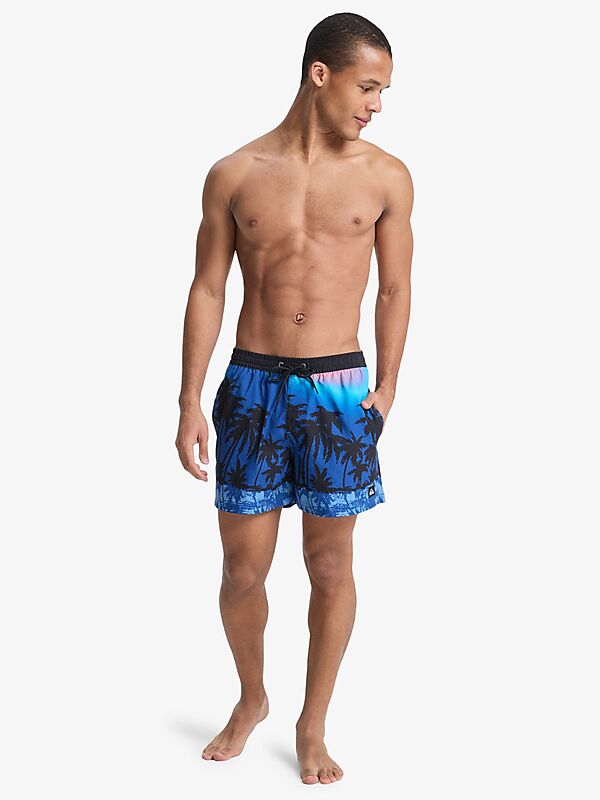 QUIKSILVER M EVERYDAY PRINTED VOLLEY 15 på