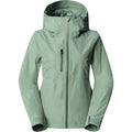 THE NORTH FACE W Descendit Jacket på