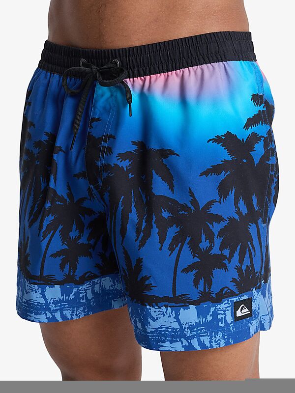 QUIKSILVER M EVERYDAY PRINTED VOLLEY 15 på