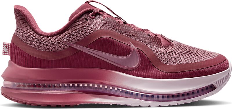 NIKE W Pegasus Premium på