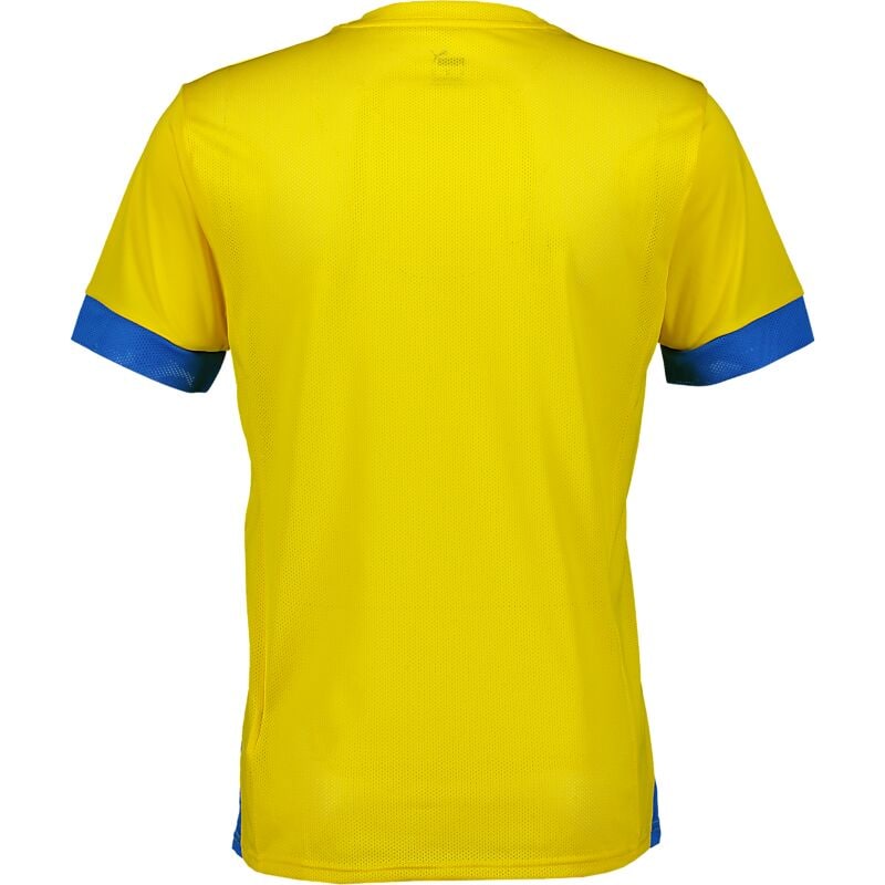 PUMA Sibf Replica Tee Jr på
