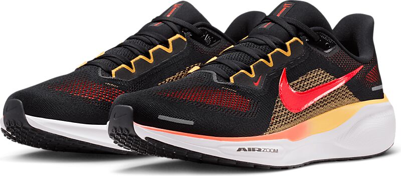 NIKE M PEGASUS 41 på