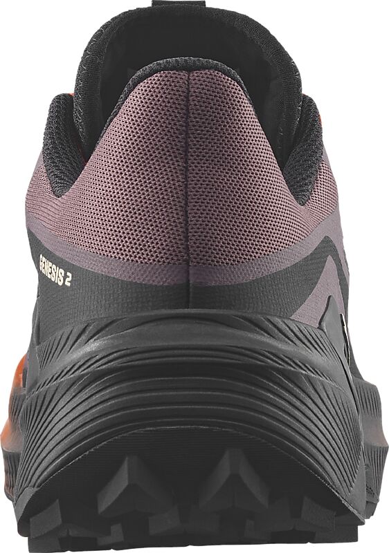 SALOMON W GENESIS 2 på