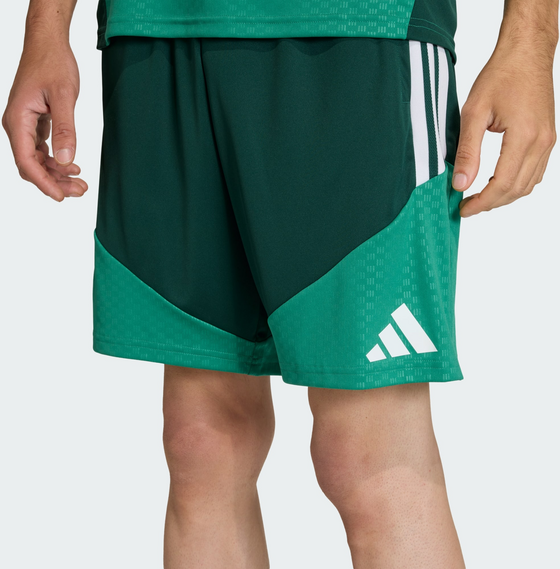 ADIDAS Adidas Algeriet 26 Träningsshorts på