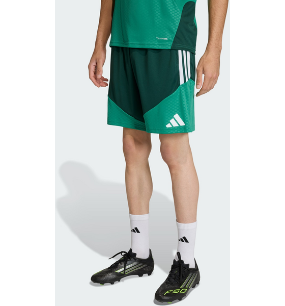 ADIDAS Adidas Algeriet 26 Träningsshorts på