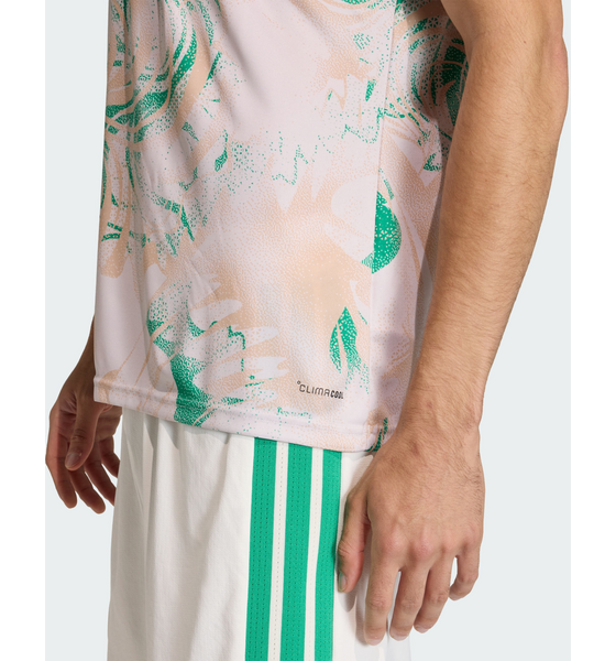 ADIDAS Adidas Algeriet 26 Uppvärmningströja på