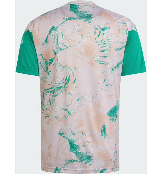 ADIDAS Adidas Algeriet 26 Uppvärmningströja på