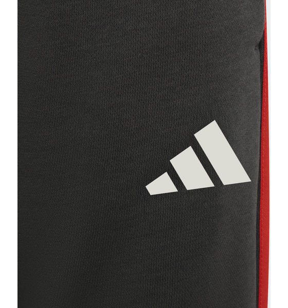 ADIDAS Adidas Audi Revolut F1 Team Dna Byxor på