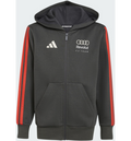 ADIDAS Adidas Audi Revolut F1 Team Dna Hoodie Med Hel Dragkedja på