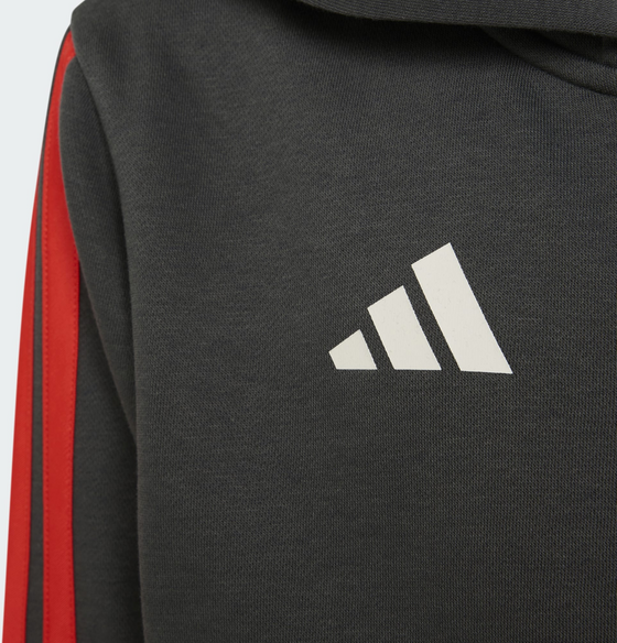 ADIDAS Adidas Audi Revolut F1 Team Dna Hoodie Med Hel Dragkedja på