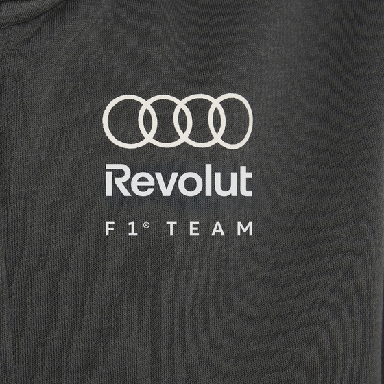 ADIDAS Adidas Audi Revolut F1 Team Dna Hoodie Med Hel Dragkedja på