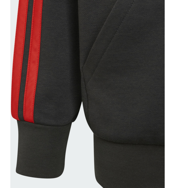 ADIDAS Adidas Audi Revolut F1 Team Dna Hoodie Med Hel Dragkedja på