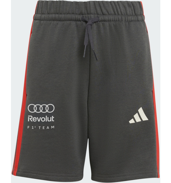 ADIDAS Adidas Audi Revolut F1 Team Dna Shorts på