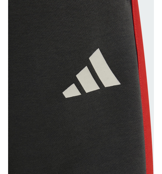 ADIDAS Adidas Audi Revolut F1 Team Dna Shorts på