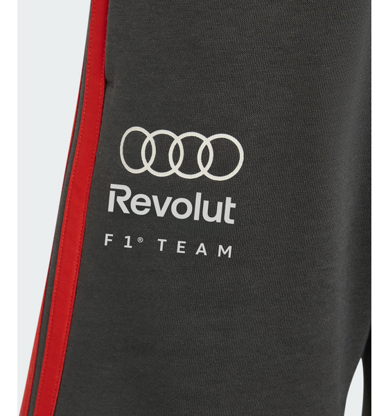ADIDAS Adidas Audi Revolut F1 Team Dna Shorts på