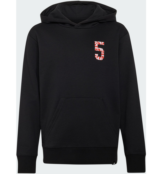 ADIDAS Adidas Audi Revolut F1 Team Gabriel Bortoleto Graphic Ii Hoodie på
