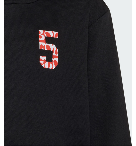 ADIDAS Adidas Audi Revolut F1 Team Gabriel Bortoleto Graphic Ii Hoodie på