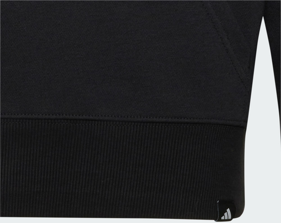ADIDAS Adidas Audi Revolut F1 Team Gabriel Bortoleto Graphic Ii Hoodie på