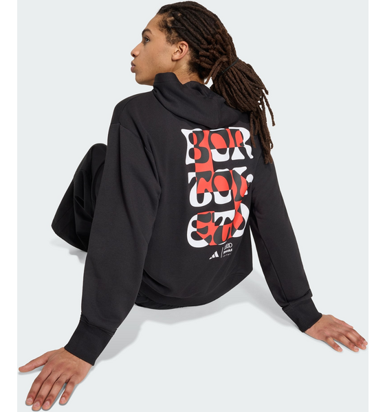 ADIDAS Adidas Audi Revolut F1 Team Gabriel Bortoleto Graphic Ii Hoodie på