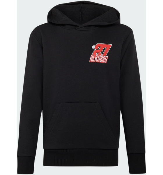ADIDAS Adidas Audi Revolut F1 Team Nico Hulkenberg Graphic Ii Hoodie på