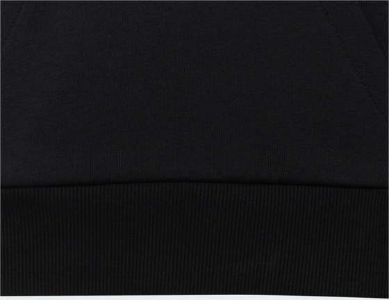 ADIDAS Adidas Audi Revolut F1 Team Nico Hulkenberg Graphic Ii Hoodie på