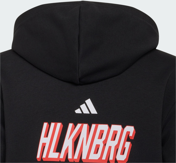 ADIDAS Adidas Audi Revolut F1 Team Nico Hulkenberg Graphic Ii Hoodie på