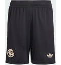 ADIDAS Adidas Bayern München 25/26 Tredjeshorts på