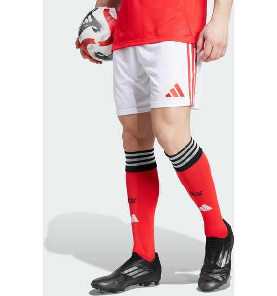 ADIDAS Adidas Benfica 25/26 Hemmashorts på
