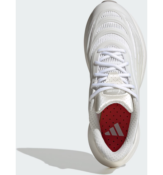 ADIDAS Adidas Climacool Spw Skor på