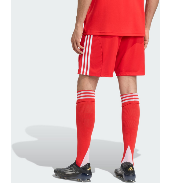 ADIDAS Adidas Fc Bayern 25/26 Hemmashorts på