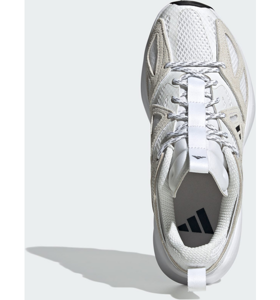 ADIDAS Adidas Kantai Trailskor på