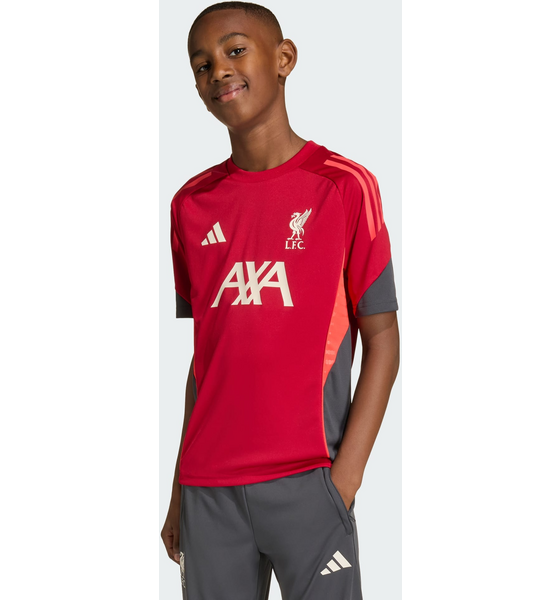 ADIDAS Adidas Liverpool Fc Tiro 25 Competition Träningströja på