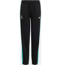 ADIDAS Adidas Mercedes - Amg Petronas Formula 1 Team Dna Byxor på
