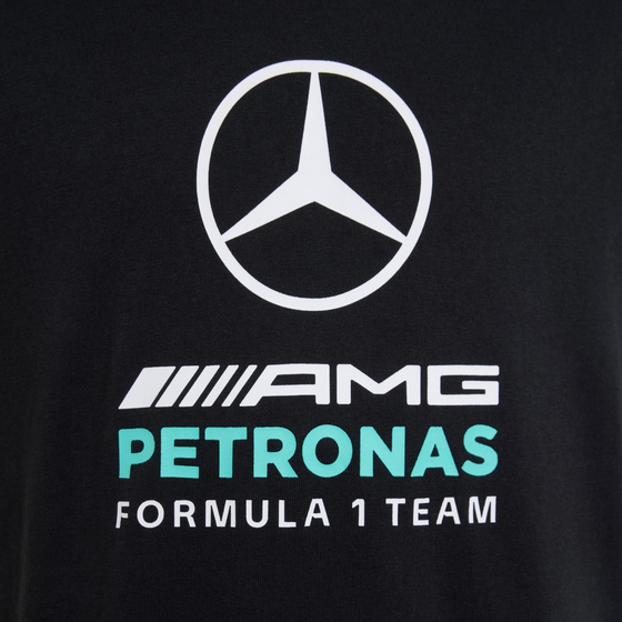 ADIDAS Adidas Mercedes - Amg Petronas Formula 1-team Dna T-shirt Med Grafik på