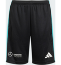 ADIDAS Adidas Mercedes - Amg Petronas Formula One Team Dna Shorts på