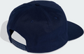 ADIDAS ORIGINALS Adidas Originals Adicolor Snapback Keps på