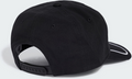 ADIDAS ORIGINALS Adidas Originals Skate Keps på