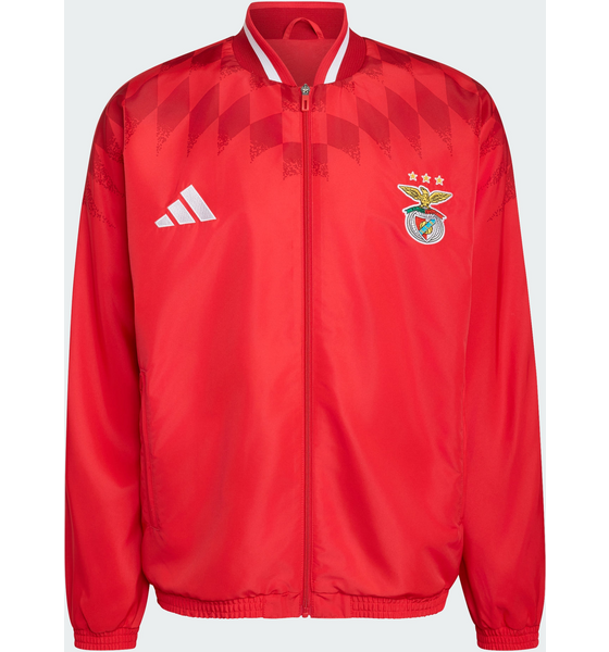 ADIDAS Adidas Sl Benfica Stadium Träningsjacka på