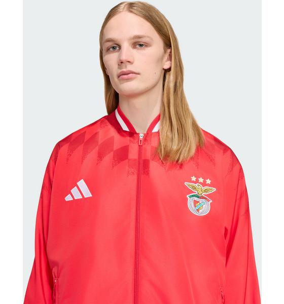 ADIDAS Adidas Sl Benfica Stadium Träningsjacka på