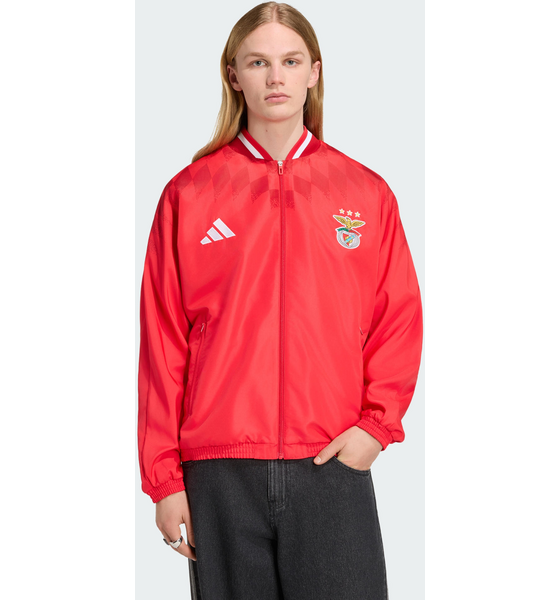 ADIDAS Adidas Sl Benfica Stadium Träningsjacka på