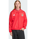 ADIDAS Adidas Sl Benfica Stadium Träningsjacka på