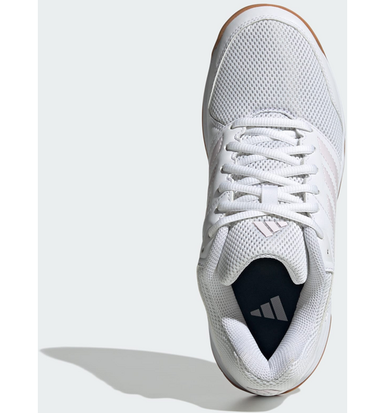 ADIDAS Adidas Speedcourt Indoor Skor på