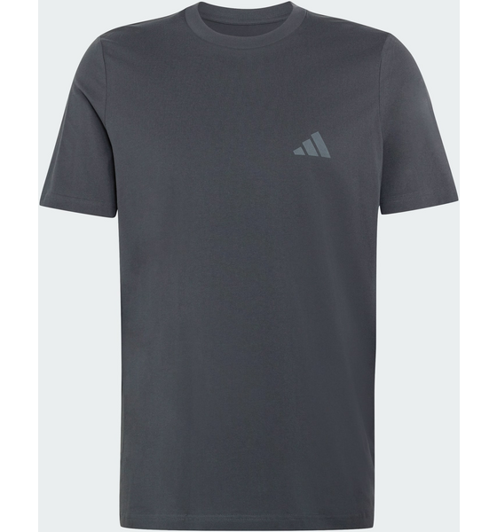 ADIDAS Adidas Terrex Mountain Graphic T-shirt på