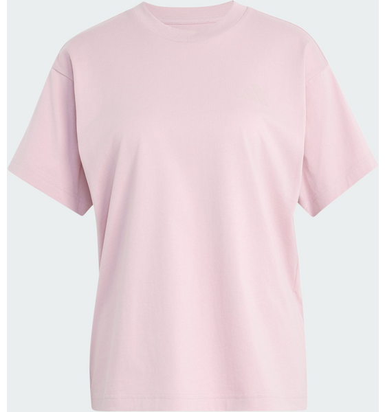 ADIDAS Adidas Terrex Wanderer Graphic T-shirt på