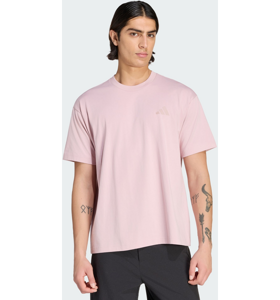 ADIDAS Adidas Terrex Wanderer Graphic T-shirt på