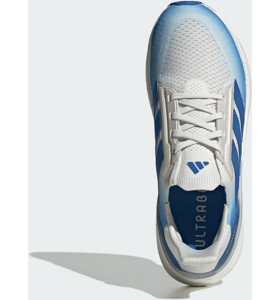 ADIDAS Adidas Ultraboost 5x Skor på