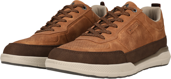WHISTLER Alcoy på