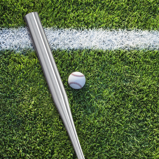 B2X Aluminum Baseball Bat på