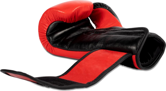 GORILLA WEAR Ashton Pro Boxing Gloves på