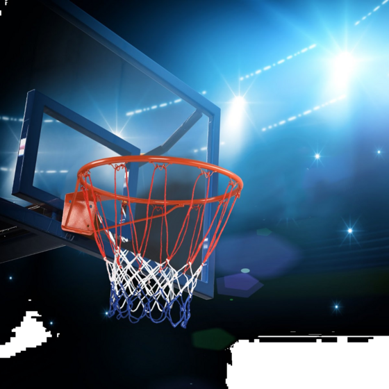 B2X Basketball Hoop Wall Mounted Basketball Hoop Professional Dunking Basketball Hoop For Indoor And Out på